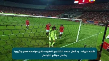 لقطة طريفة.. رد فعل محمد الشناوي الطريف خلال مواجهة مصر وإثيوبيا يشعل مواقع التواصل